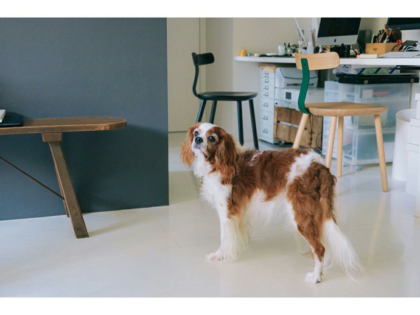 T＆O T1チェア | 【公式】マルニ木工オンラインショップ | maruni